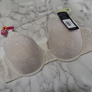 Elegant Lace Bra
